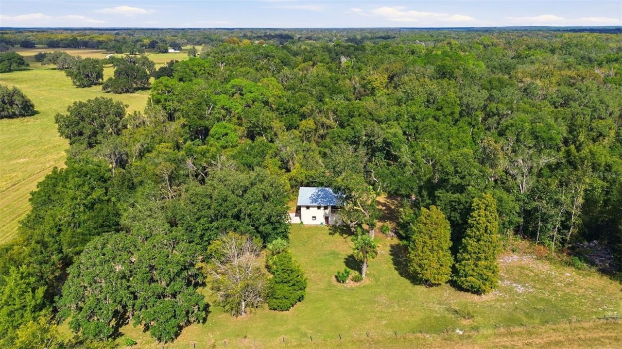 5505 Cr 634s, Bushnell, FL 33513 Photo