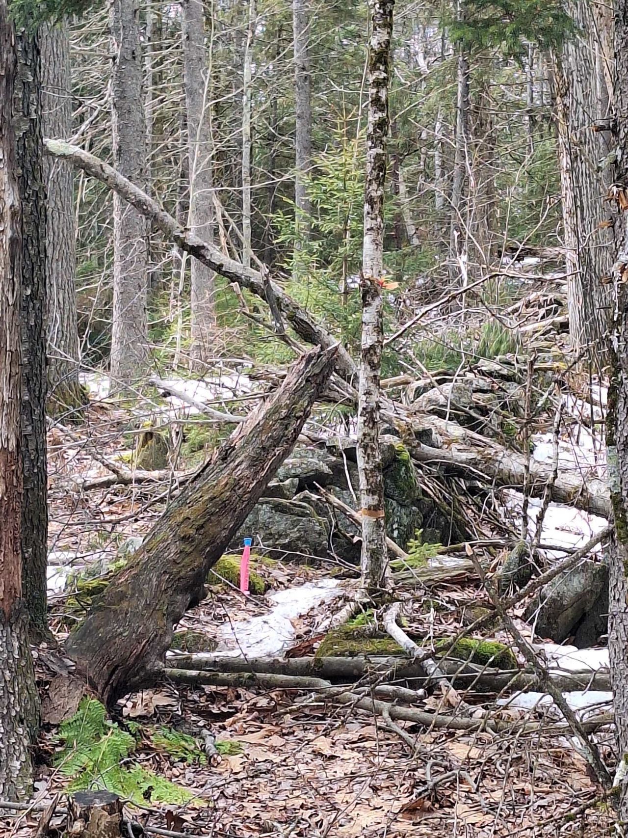 00 Rogers Road, Alstead, NH 03602 Main Photo