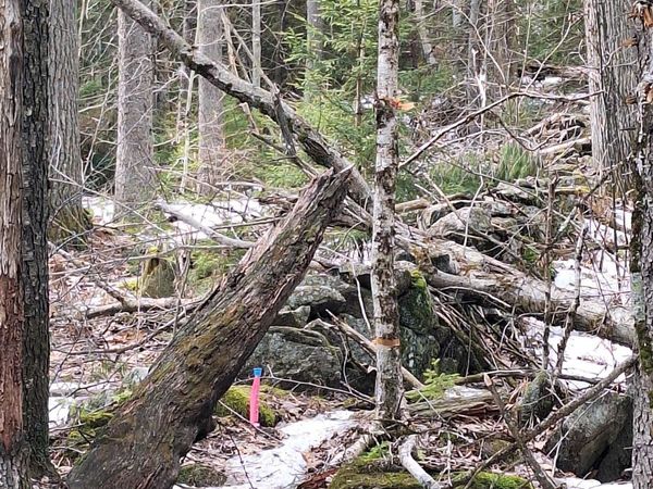 00 Rogers Road, Alstead, NH 03602