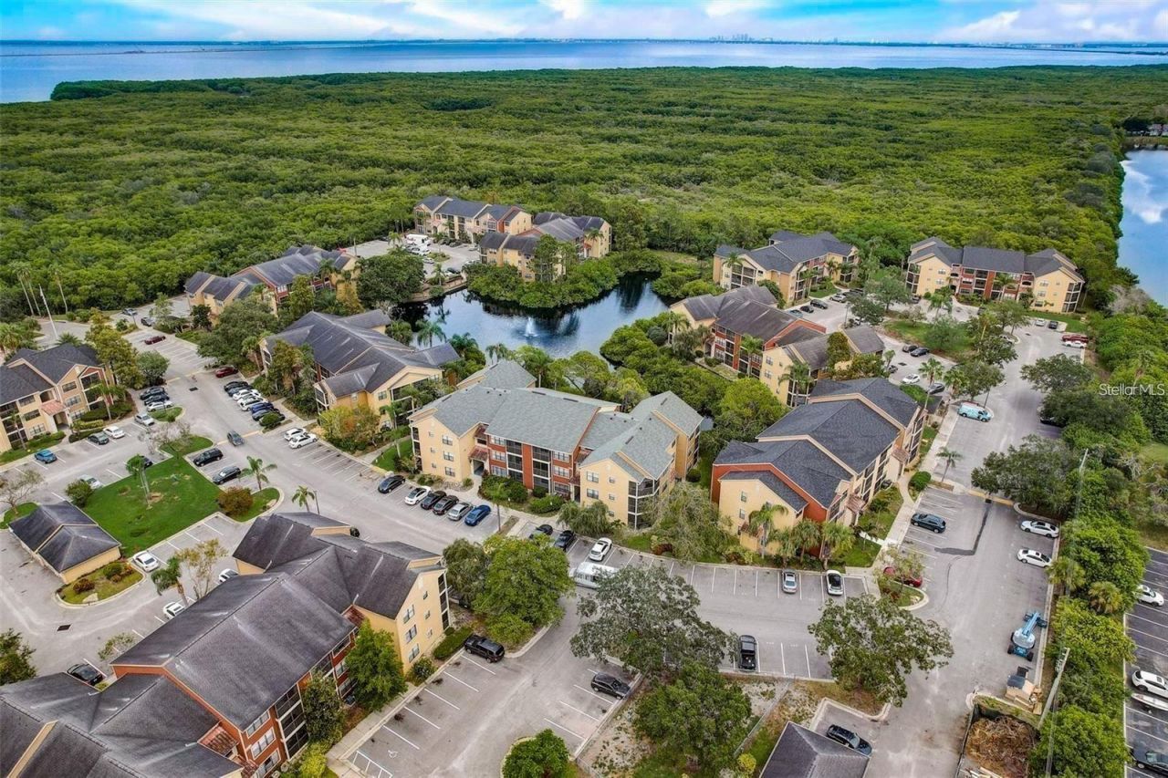 11901 4th Street N, Unit 9105, Saint Petersburg, FL 33716 Main Photo