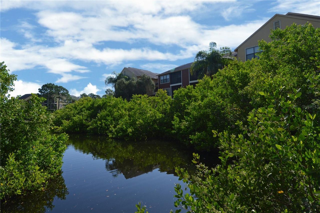 11901 4th Street N, Unit 9105, Saint Petersburg, FL 33716 Photo