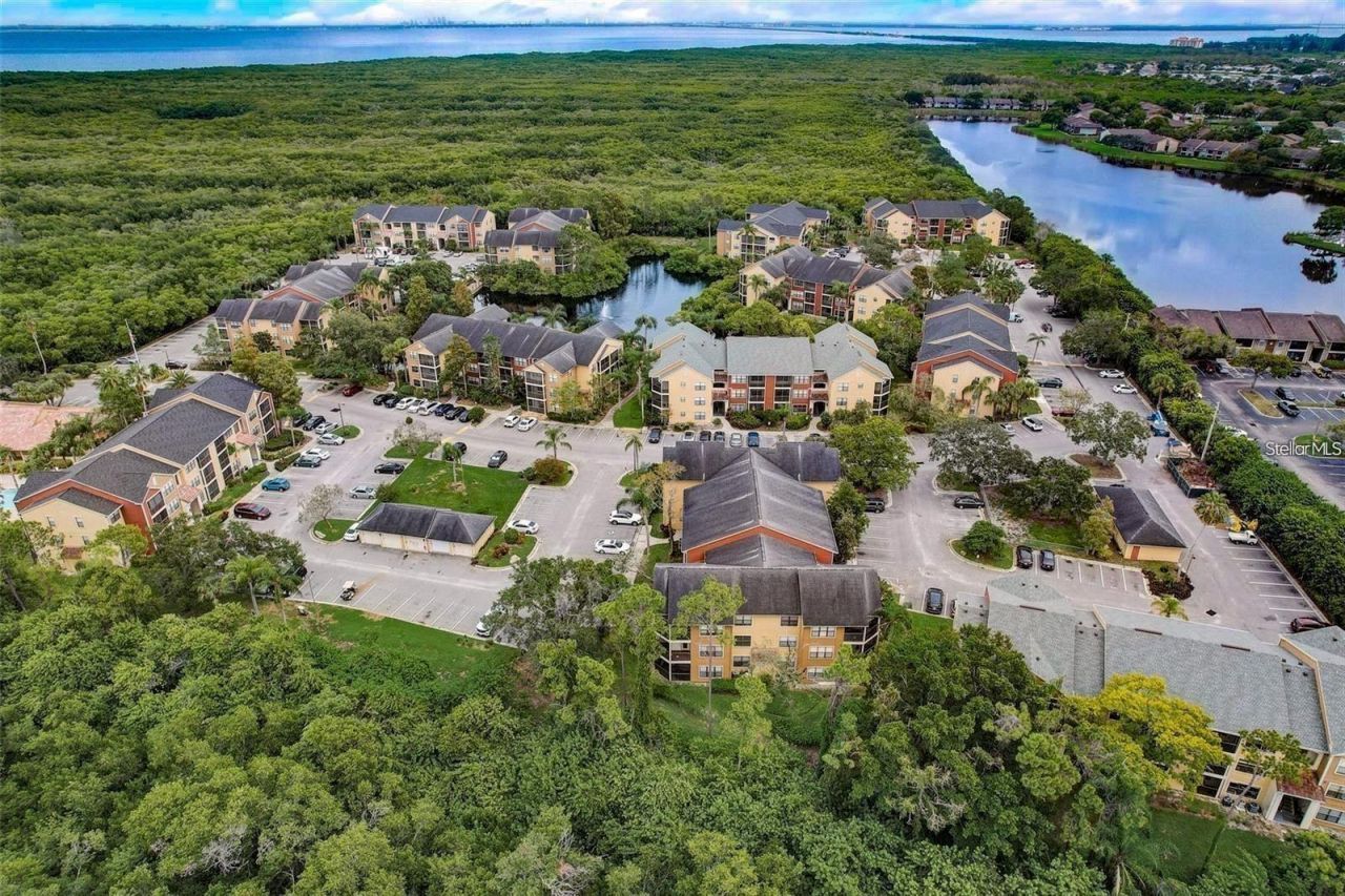 11901 4th Street N, Unit 9105, Saint Petersburg, FL 33716 Photo