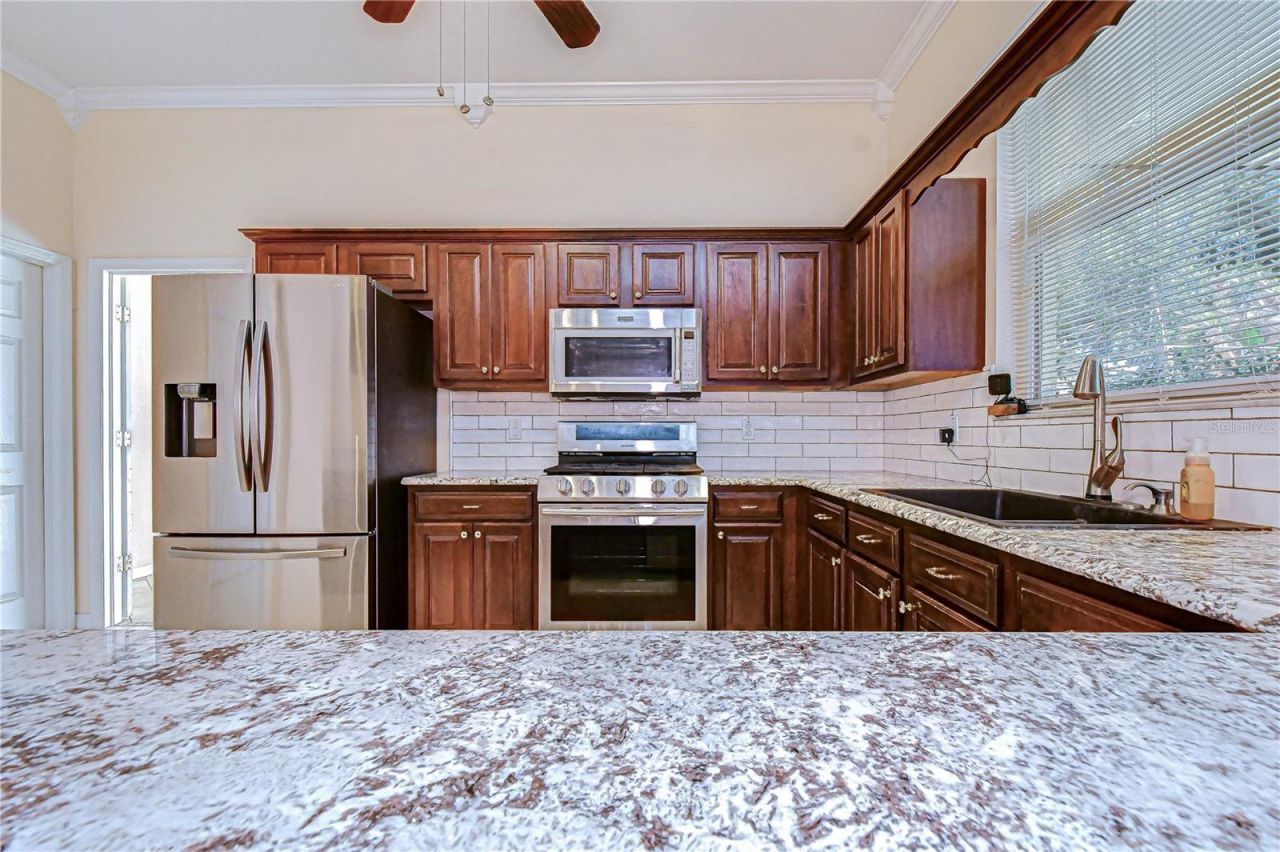 1121 Split Silk Street , Valrico, FL 33594 Photo