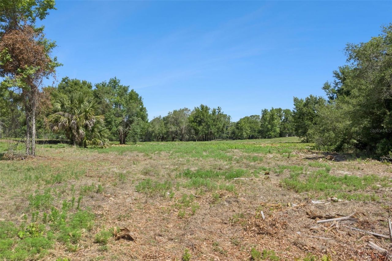 0000 Bertsville & Griffin View Road, Lady Lake, FL 32159 Photo