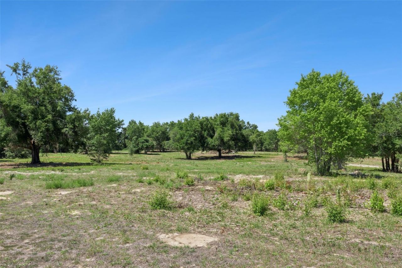 0000 Bertsville & Griffin View Road, Lady Lake, FL 32159 Photo
