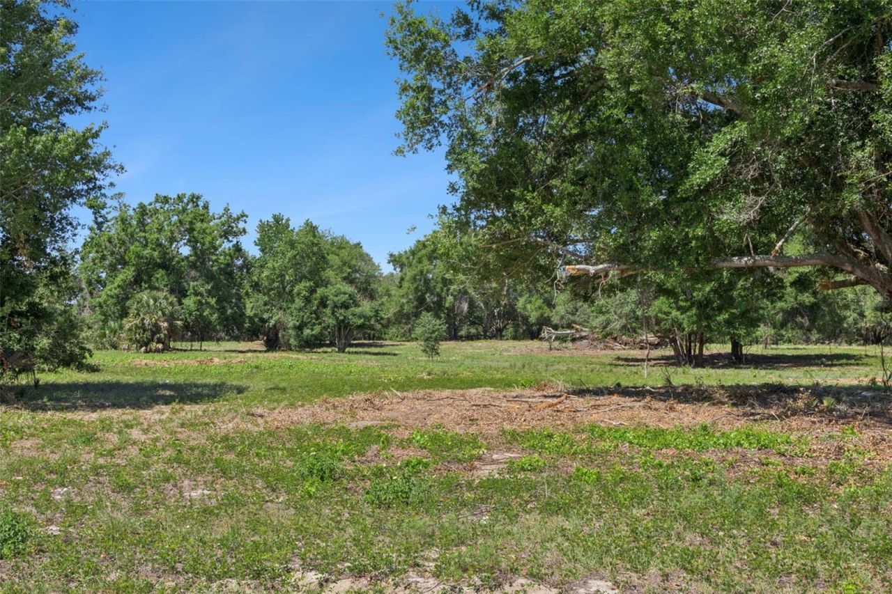 0000 Bertsville & Griffin View Road, Lady Lake, FL 32159 Photo