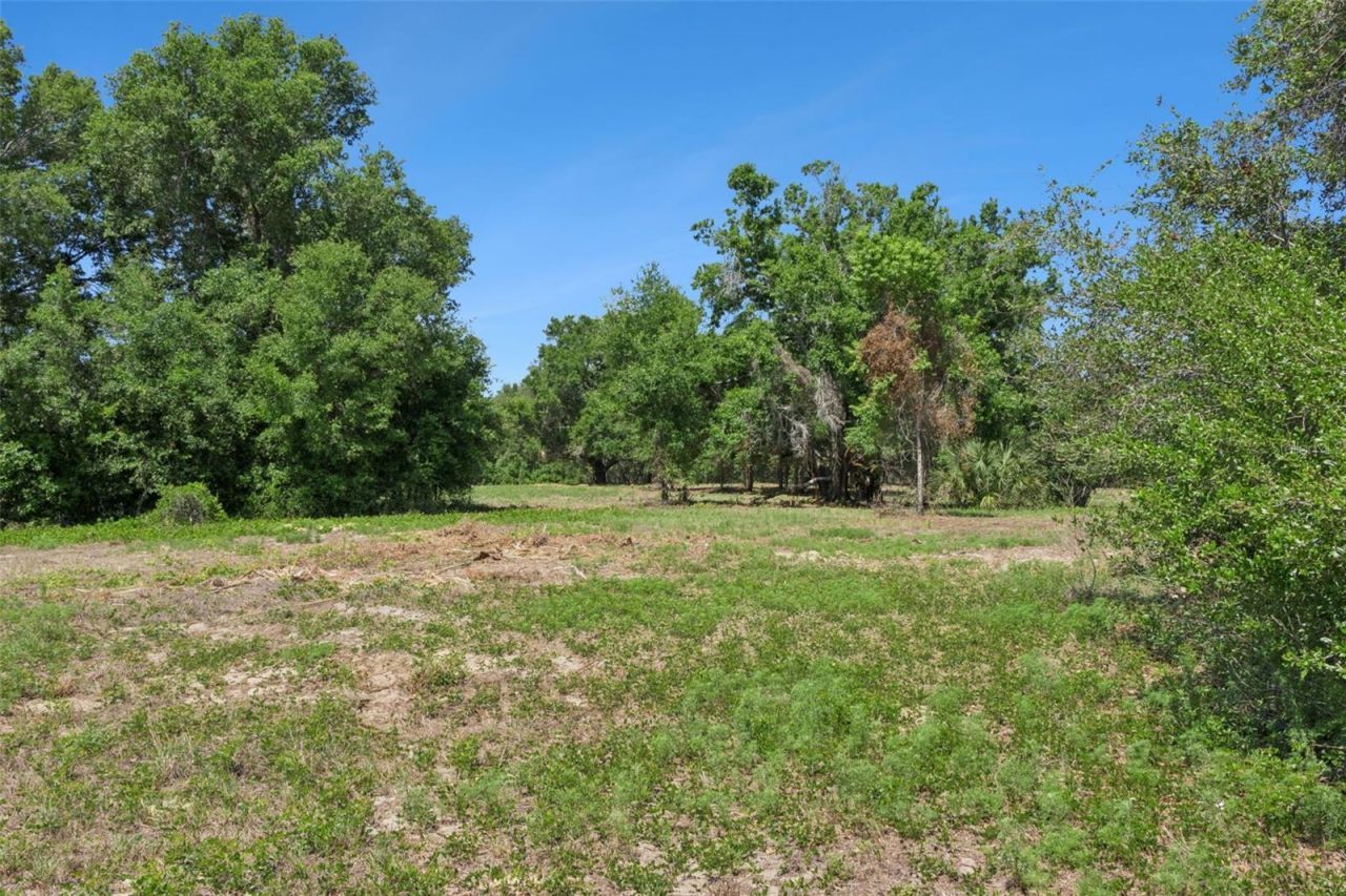 0000 Bertsville & Griffin View Road, Lady Lake, FL 32159 Photo