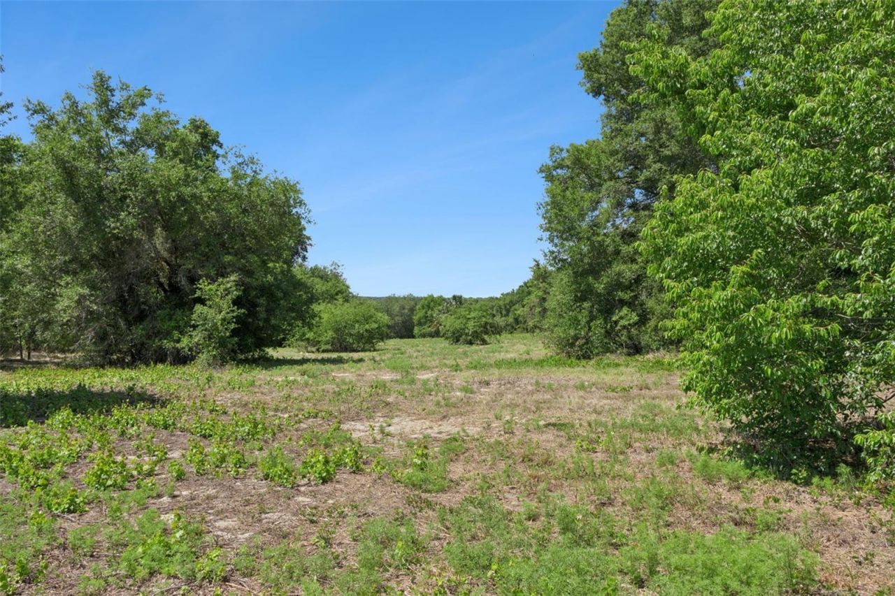 0000 Bertsville & Griffin View Road, Lady Lake, FL 32159 Photo