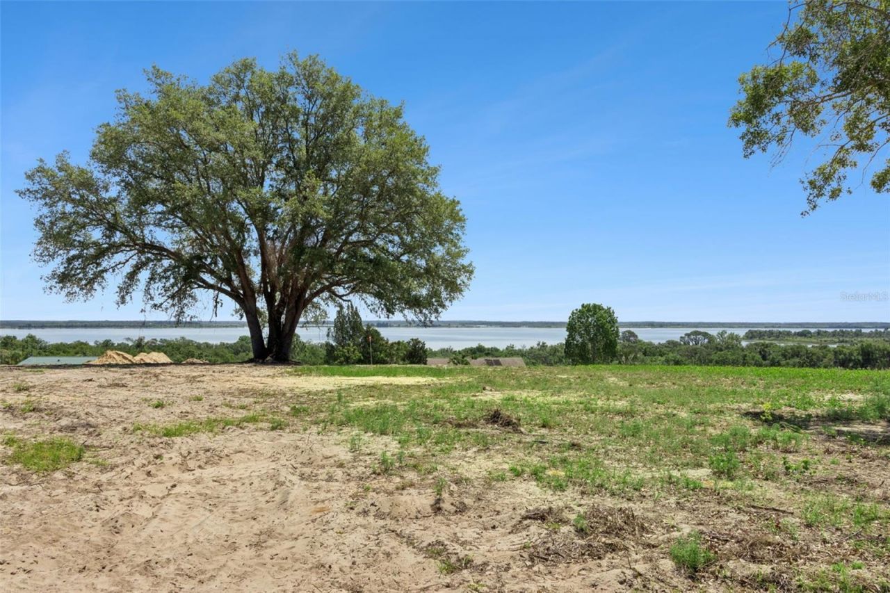 0000 Bertsville & Griffin View Road, Lady Lake, FL 32159 Photo
