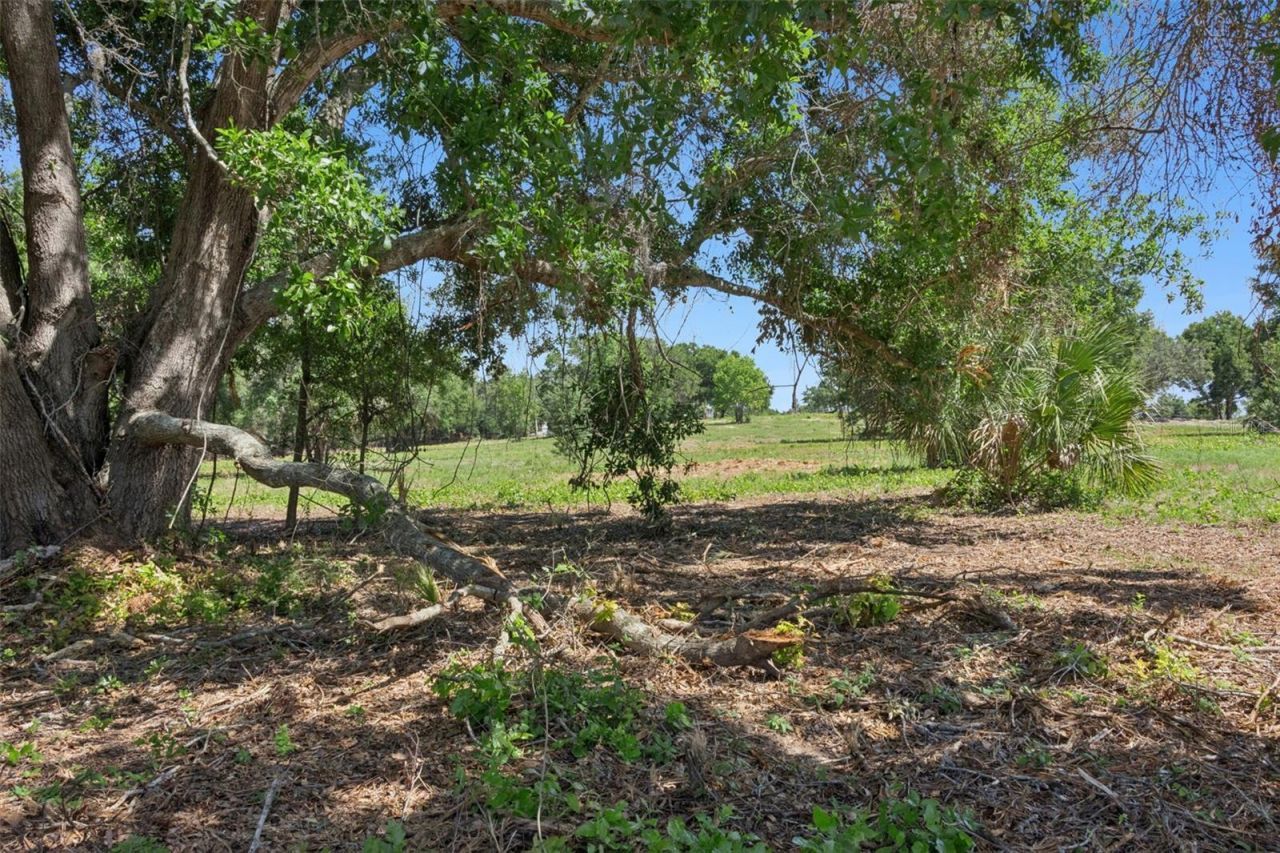 0000 Bertsville & Griffin View Road, Lady Lake, FL 32159 Photo