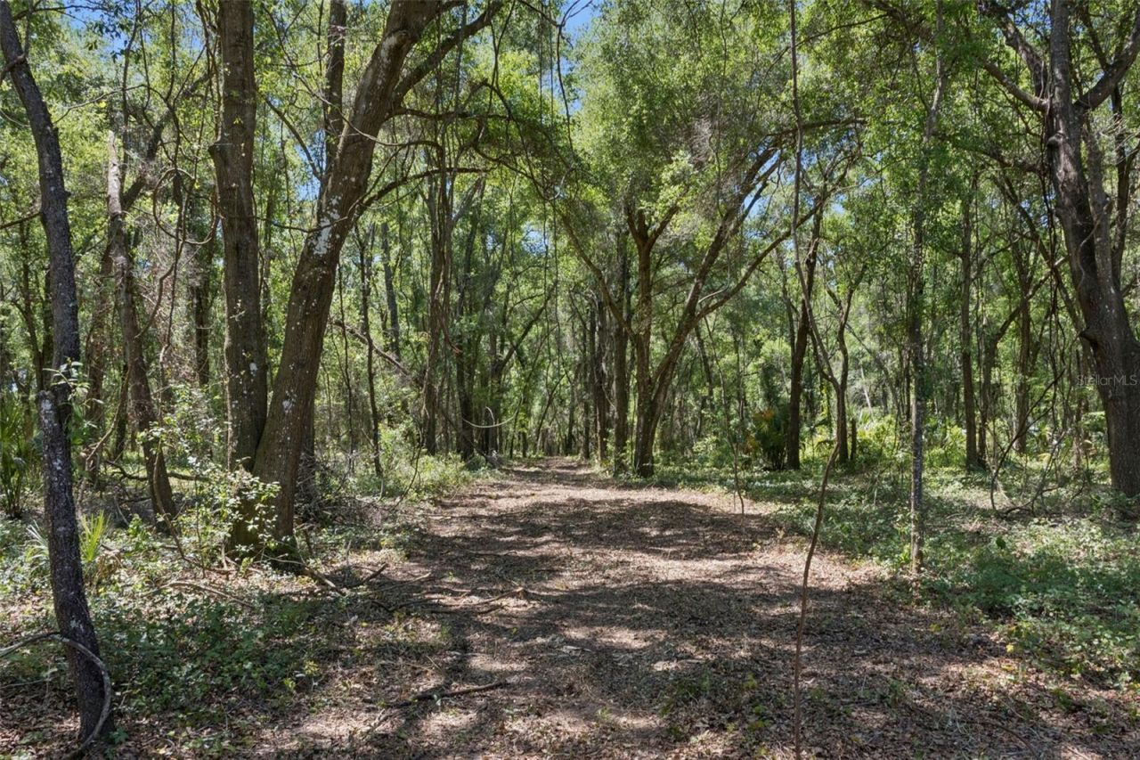 0000 Bertsville & Griffin View Road, Lady Lake, FL 32159 Photo