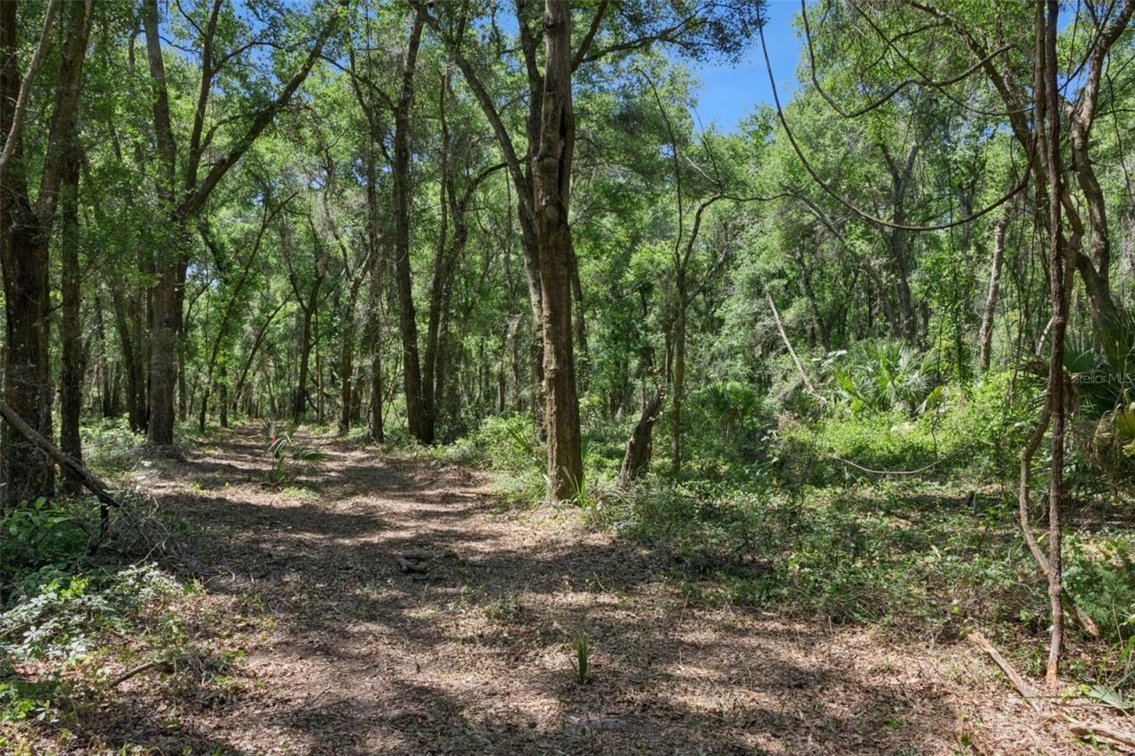 0000 Bertsville & Griffin View Road, Lady Lake, FL 32159 Photo