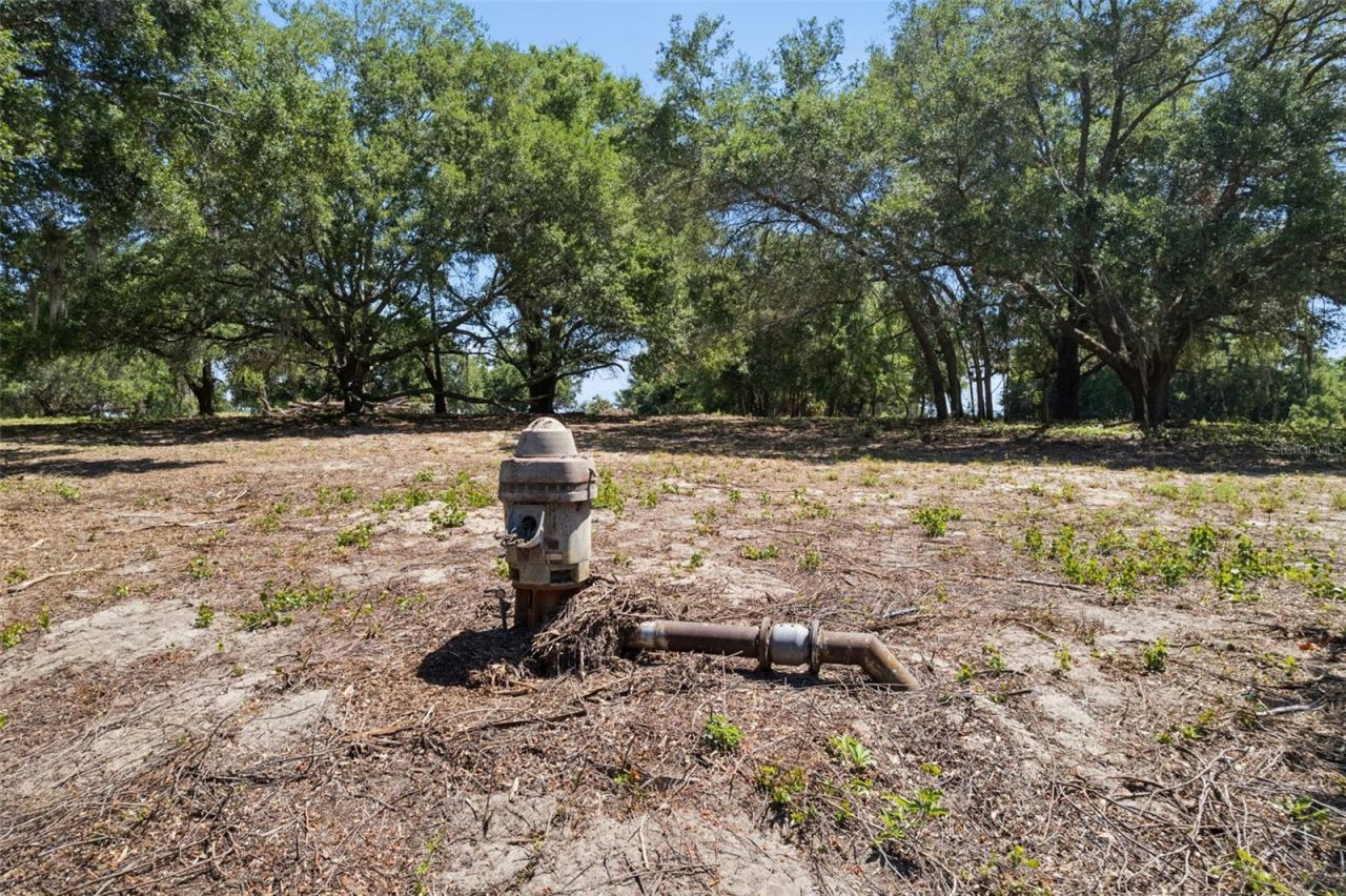 0000 Bertsville & Griffin View Road, Lady Lake, FL 32159 Photo
