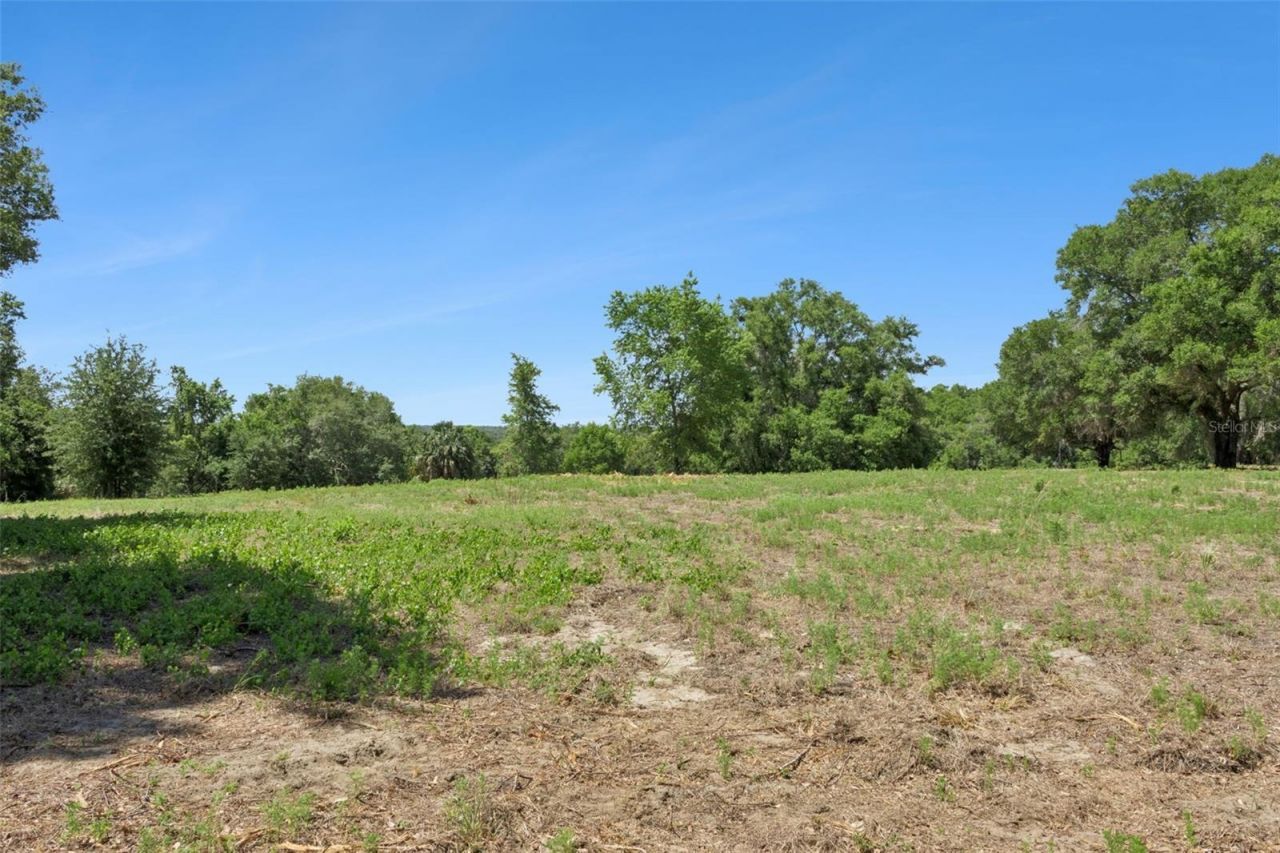 0000 Bertsville & Griffin View Road, Lady Lake, FL 32159 Photo