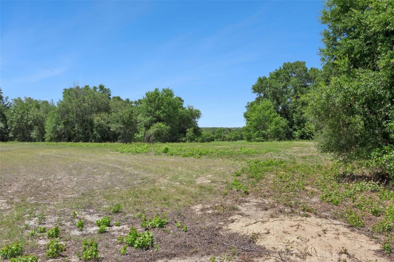 0000 Bertsville & Griffin View Road, Lady Lake, FL 32159 Photo