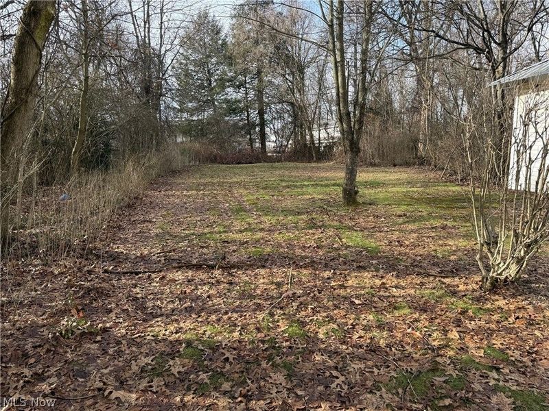 717 Woodlawn Road, Steubenville, OH 43952 Photo 20