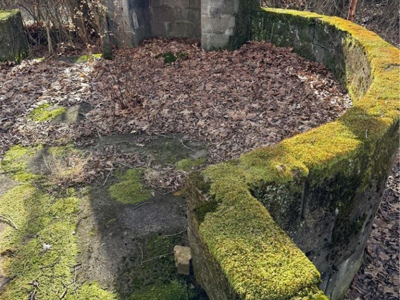 717 Woodlawn Road, Steubenville, OH 43952 Photo 22