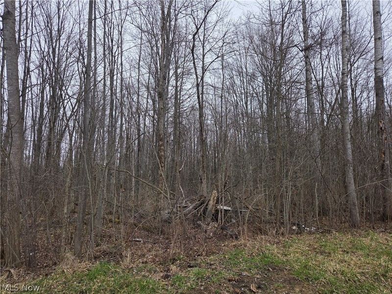 Plank Road, Orwell, OH 44076 Photo 3