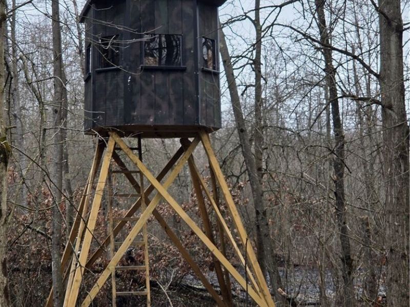 Plank Road, Orwell, OH 44076 Photo 5