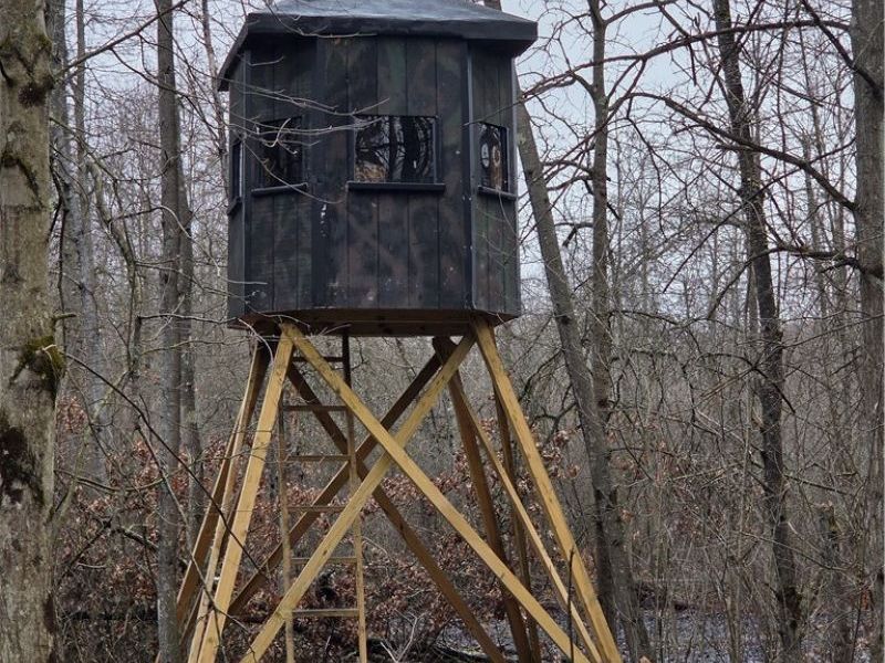 Plank Road, Orwell, OH 44076 Photo 6