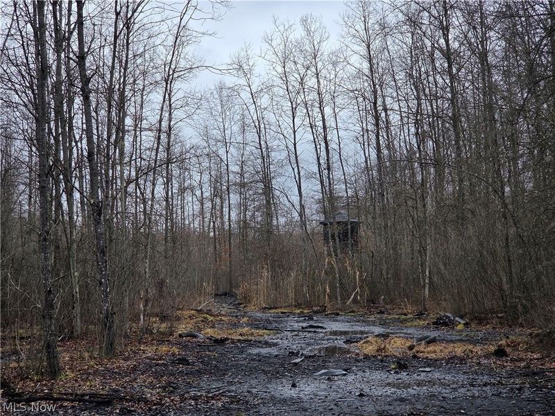 Plank Road, Orwell, OH 44076 Photo 7