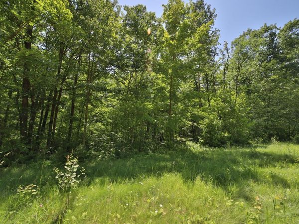 Tract C Olander Road , Crosby, MN 56441