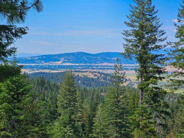 NKA E Belmont Rd, Mica, WA 99023