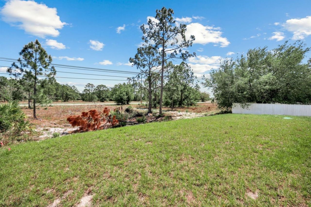 521/523 Lillon Avenue S, Lehigh Acres, FL 33974 Photo