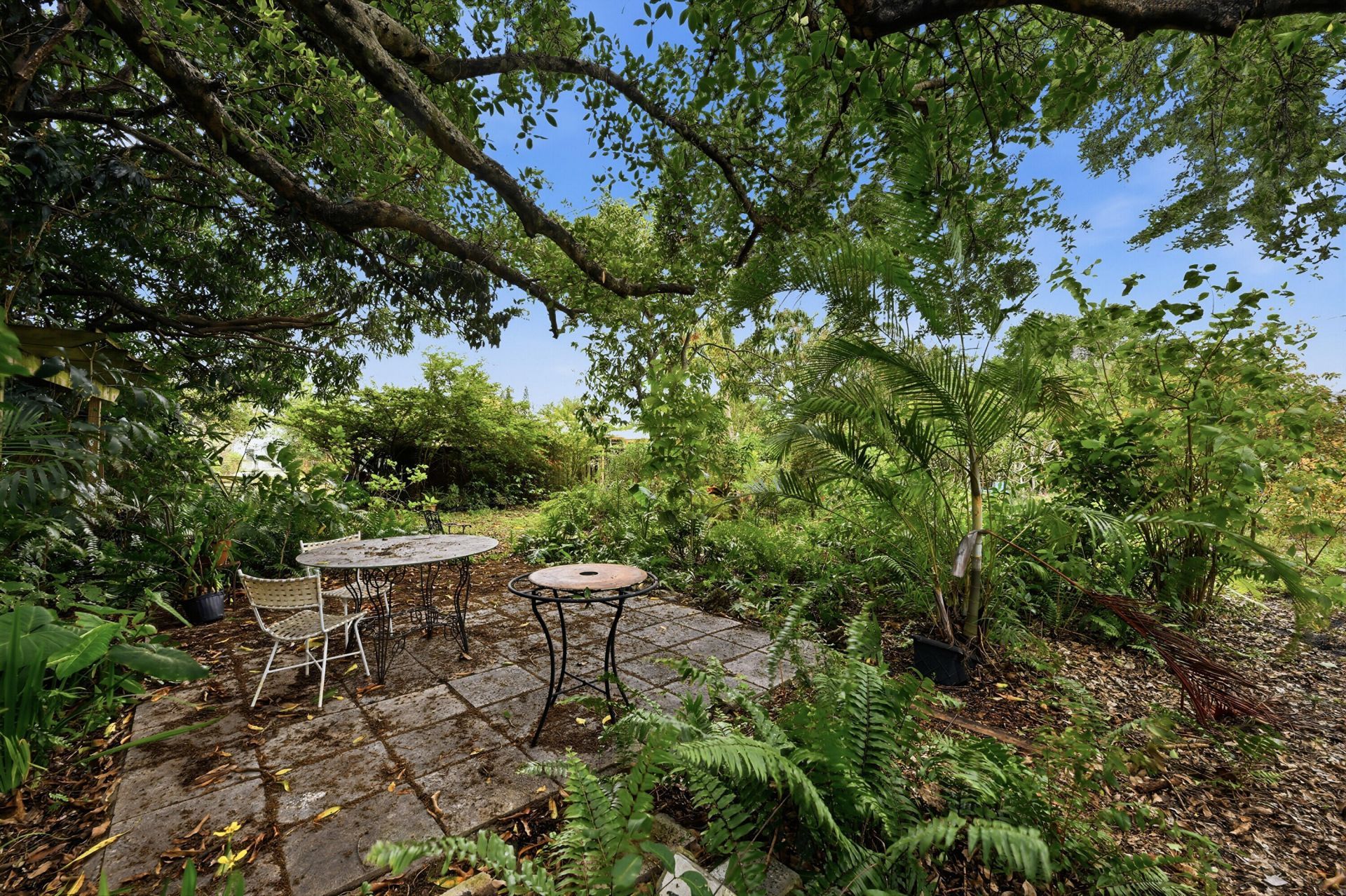 2703 Fillmore Street, Hollywood, FL 33020 Photo