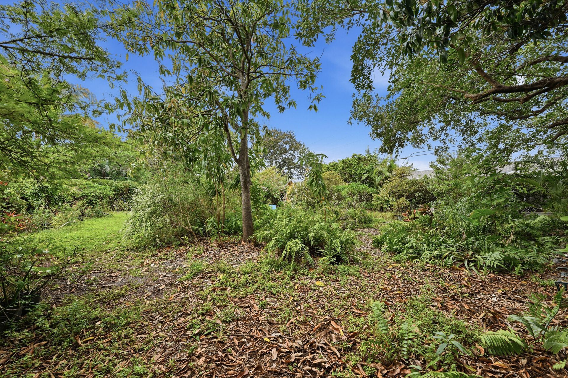 2703 Fillmore Street, Hollywood, FL 33020 Photo