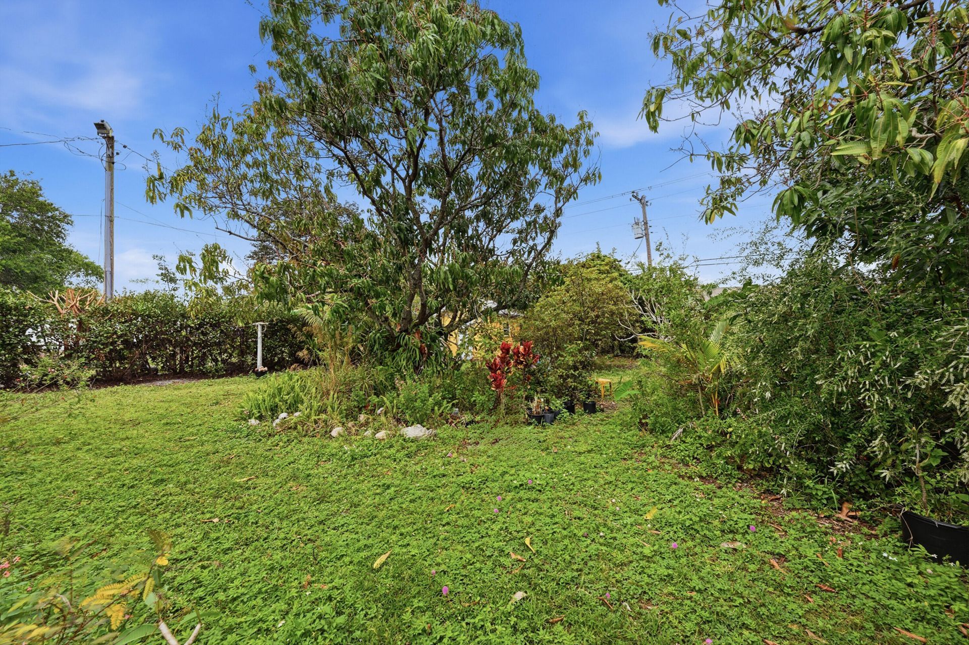 2703 Fillmore Street, Hollywood, FL 33020 Photo