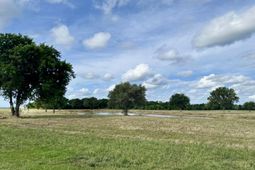 4 Cravens Street photo 4