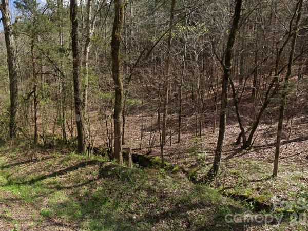 0 Morton Road , Polkton, NC 28135