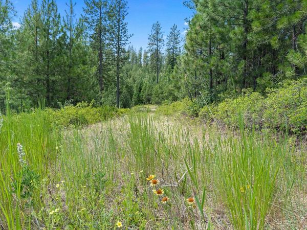 NKA E Belmont Rd, Mica, WA 99023