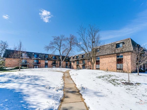 8 Oak Creek Drive, Unit 2802, Buffalo Grove, IL 60089