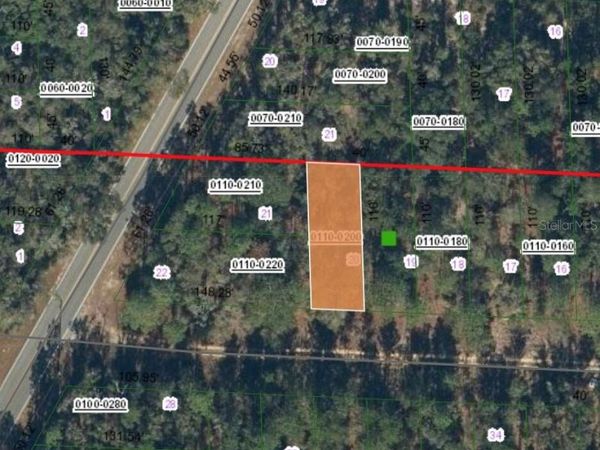 338 PORTLAND STREET, HAWTHORNE, FL 32640