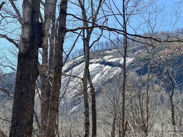 Lot 229 Swallow Lane , Lake Lure, NC 28746
