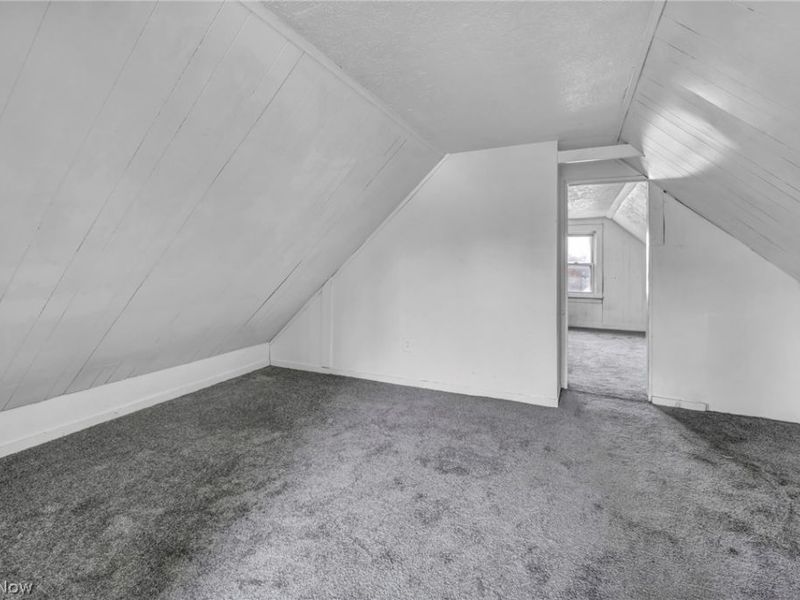 701 E 157th Street, Cleveland, OH 44110 Photo 40