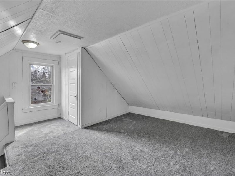 701 E 157th Street, Cleveland, OH 44110 Photo 41