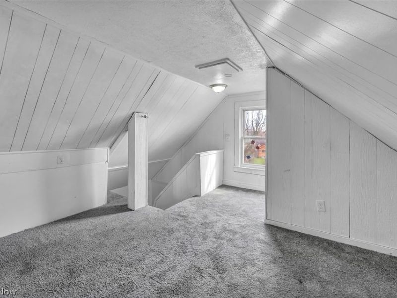 701 E 157th Street, Cleveland, OH 44110 Photo 42