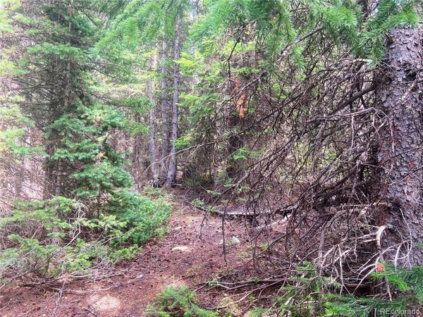 00 FS 413.1, Black Hawk, CO 80422