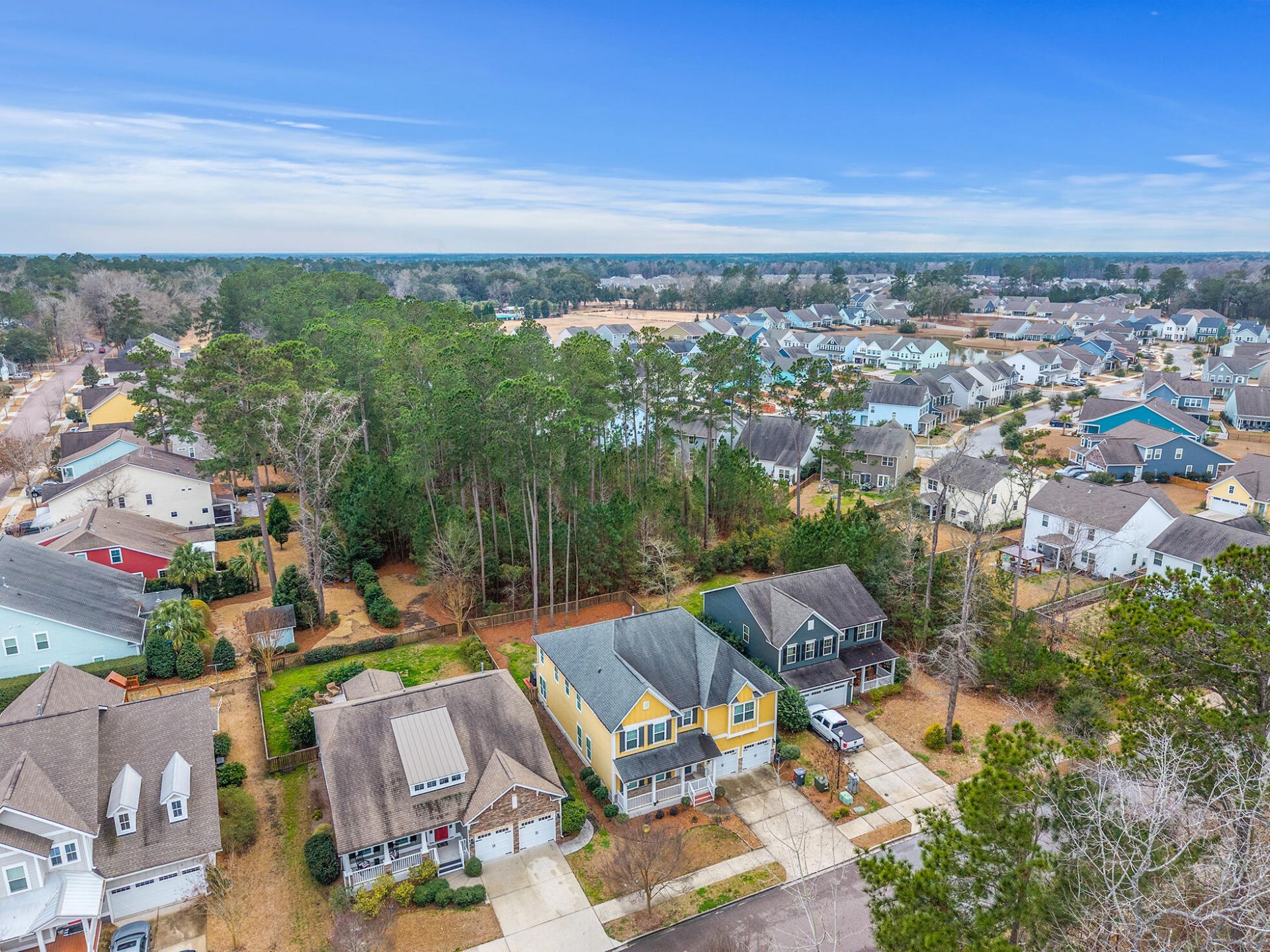 309 Ribbon Road Photo 55