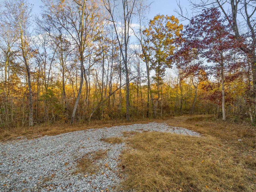 Property Image 48