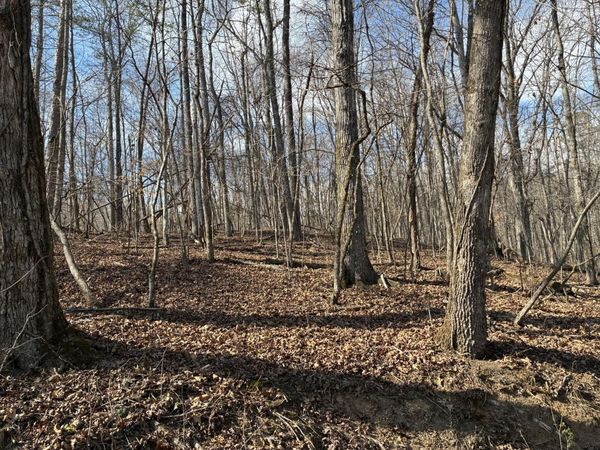 0 Eagle Point Drive Lot 8, Rockwood, TN 37854