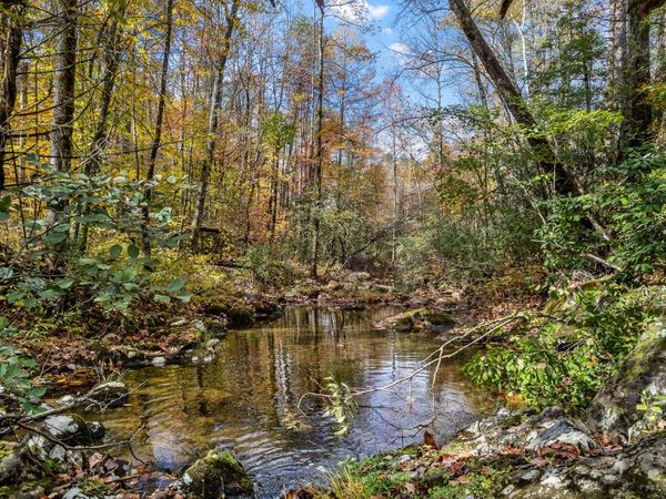 0 River Road , Tellico Plains, TN 37385