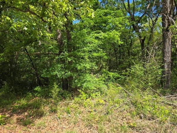 Lot 699 Shady Grove Road, Gun Barrel City, TX 75156