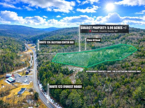 Lot 9-29 Murphy Hill Road, Alstead, NH 03602