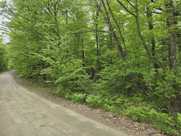 Lot 10C Staples Pond Road, Temple, ME 04984