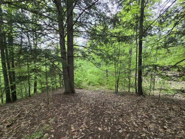 Lot 10C Staples Pond Road, Temple, ME 04984
