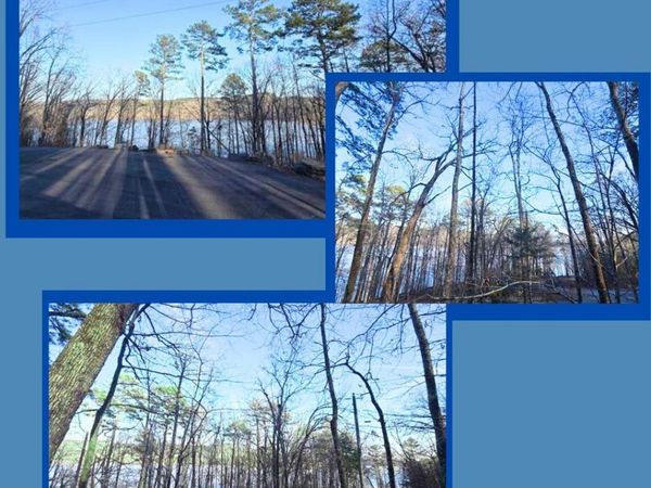 Lot 66 Lower Ridge Circle, Edgemont, AR 72044